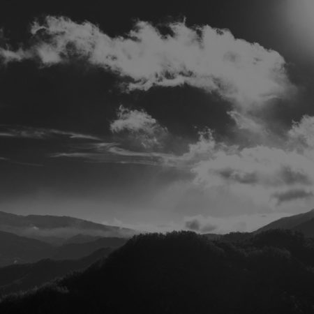 in the morning